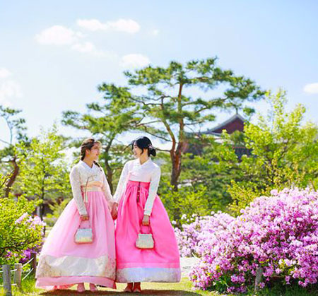 busan - seoul - everland 