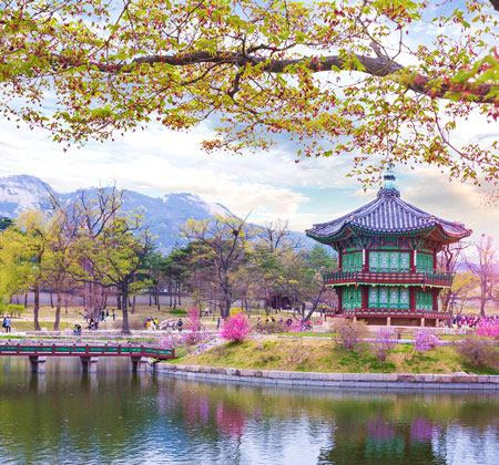seoul - jeju - everland - du thuyền sông hàn 