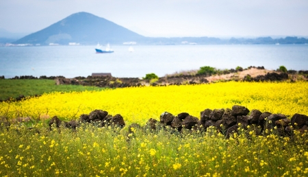 hà nội - seoul - jeju - nami - everland jinair
