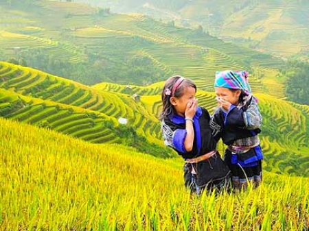 tour du lịch mù cang chải – bản lướt – ngọc chiến mùa lúa chín